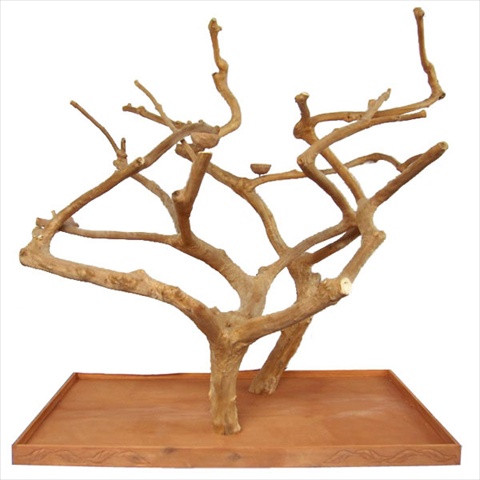 Ae400l 73 X 36 X 66 In. Large Double Java Tree