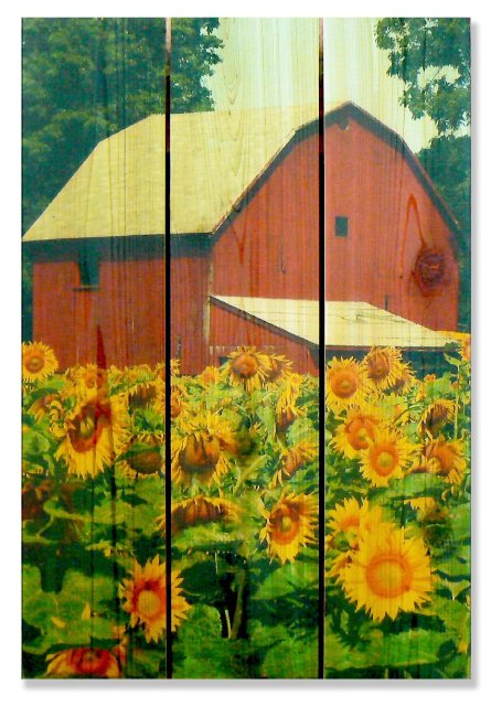 Sfb1624 16 X 24 Sunflower Barn Inside & Outside Full Color Cedar Wall Art