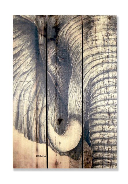 Dbae1624 16 X 24 Africanelephant Inside & Outside Full Color Cedar Wall Art