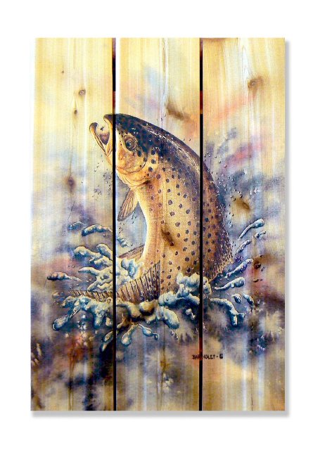 Dbfo1624 16 X 24 Fish On Inside & Outside Full Color Cedar Wall Art