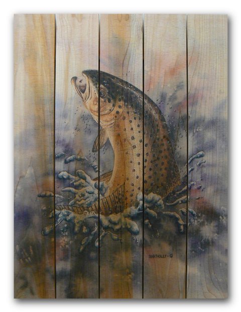Dbfo2836 28 X 36 Fish On Inside & Outside Full Color Cedar Wall Art