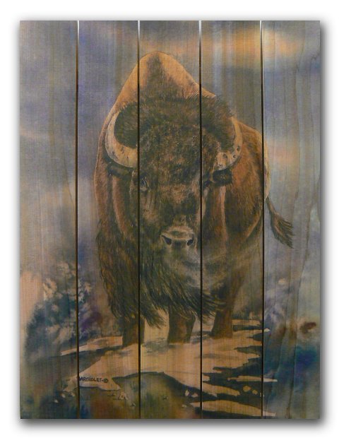 Dbab2836 28 X 36 American Buffalo Inside & Outside Full Color Cedar Wall Art