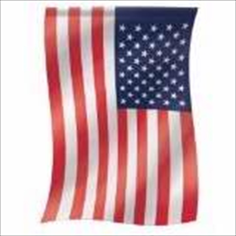 12512x Flag Garden Traditional American Flag 13 X 18