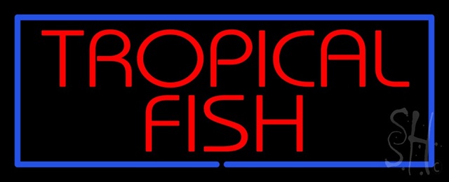 Sign Store N100-1543 Tropical Fish Blue Border Neon Sign 32 x 13 x 3 In. Sign Store N100-1543 Tropical Fish Blue Border Neon Sign 32 x 13 x 3 In.