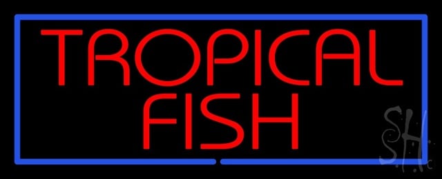 Sign Store N100-1543-clear Tropical Fish Blue Border Clear Backing Neon Sign 32 x 13 x 1 In. Sign Store N100-1543-clear Tropical Fish Blue Border Clear Backing Neon Sign 32 x 13 x 1 In.