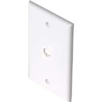 200-254wh White Standard 1-hole Wall Plate
