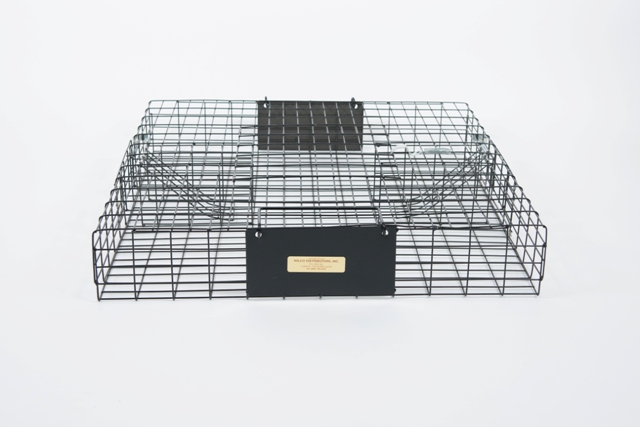 Picture for category Insect & Rodent Traps