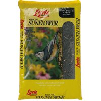 2647279 Black Oil Sunflower Seed - 5 Lbs.