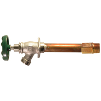 456-10bcld Frost Free Hydrant 10 In.