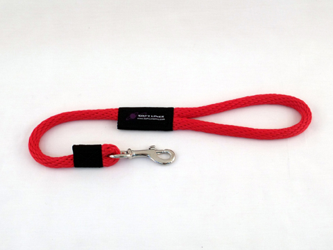 P10802red Dog Snap Leash 0.5 In. Diameter By 2 Ft. - Red