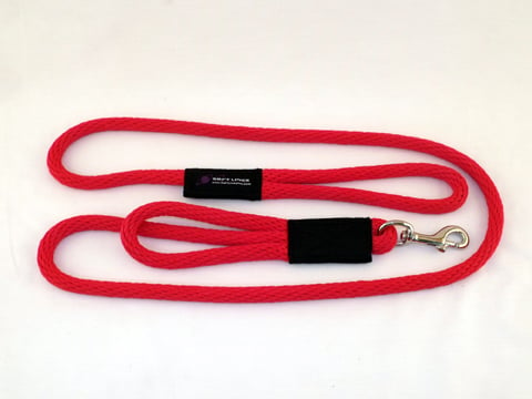 Pss10606red 2 Handled Sidewalk Safety Dog Snap Leash 0.37 In. Diameter By 6 Ft. - Red
