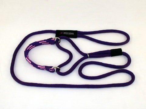 Pmm06purple-pink Martingale Dog Leash 6 Ft. Medium, Purple And Pink