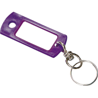 Kc139 Keytag With Swivel Ring
