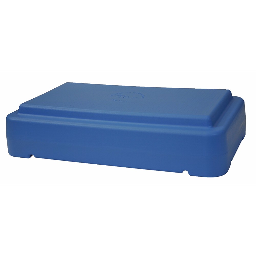 015242 6 In. Stackable Riser, Blue