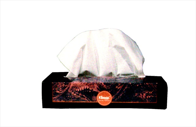 Kimberly Clark 025504 Kleenex Facial Tissue - 125 Tissues, 2-ply, Paper, White
