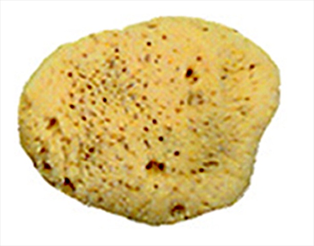 ROYAL BRUSH 037793 All Purpose Imported Mediterranean Silk Pottery Sponge 2 In. ROYAL BRUSH 037793 All Purpose Imported Mediterranean Silk Pottery Sponge 2 In.