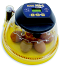 Mini Advance Digital Egg Incubator