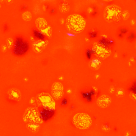 Amaco Glaze Crystaltex 67 Summer Mango Print Amaco Glaze Crystaltex 67 Summer Mango Print