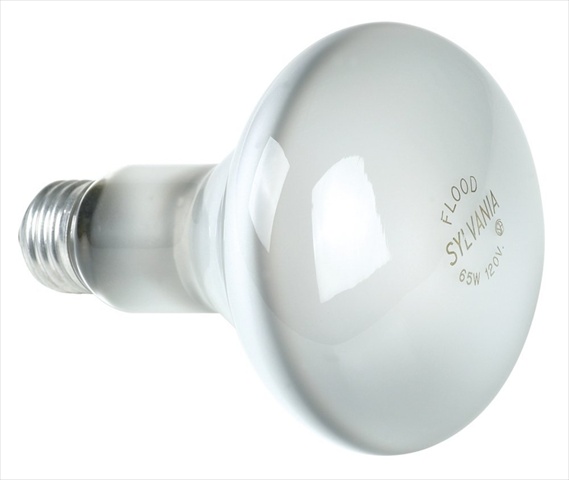 65-watt Br-30 Flood Light Bulb