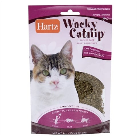 Hartz Catnip, Wacky