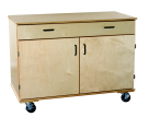 48 W X 24 D X 36 H In. 1-drawer Mobile Adjustable Shelf Storage With One Adjustable Shelf, Birch