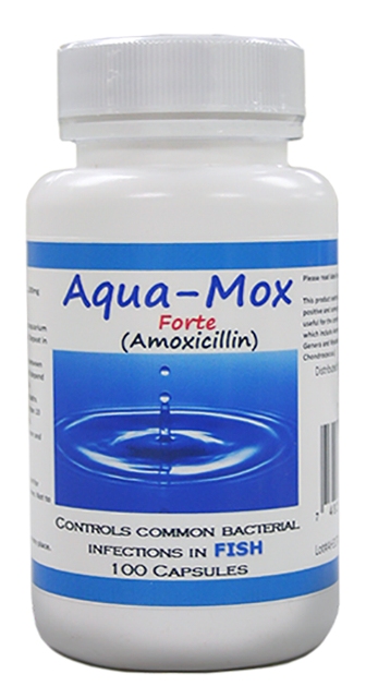 UPC 748252267511 product image for Midland Vet Service 001MVC-AQUAMOX-100-F Aqua-Mox Forte | upcitemdb.com