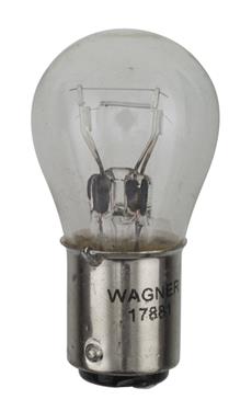 17881 Tail Light Bulb, Clear