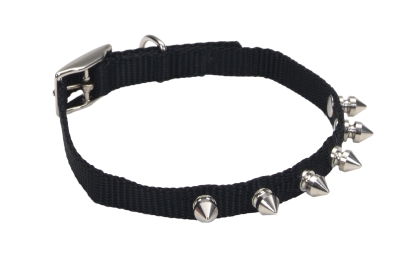 Co30245 10 In. Lil Pals Spike Collar - Black