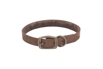 Co31183 24 In. Leather Collar - Chocolate