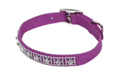 Co32018 10 In. Nylon Jeweled Collar - Orchid