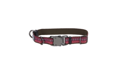 Co36422 12 In. Reflective Adjustable Collar - Berry Purple