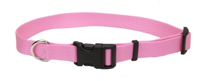 Co60104 18 In. Bright Pink Nylon Collar