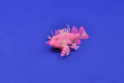 Es15534 Pink Lionfish