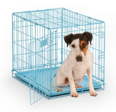 Mw01617 I Crate Blue With Divider - 24 In., 14 Lbs.