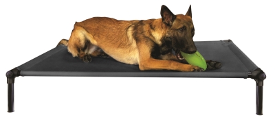 Sm00143 Zone Bed With Clicker Training Charcoal - Large