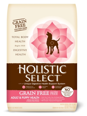 Wp31101 Holistic Select Grain Free Salmon Dog Food 13 Lbs.
