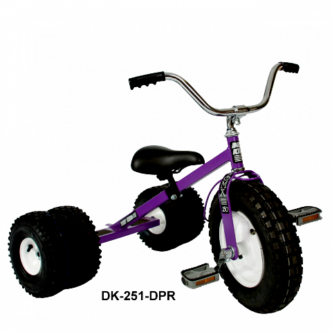 Dk-251-dpr Child Dually Tricycle, Purple