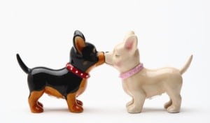 8160 3.5 In. Pucker Up Pups Salt And Pepper Shakers