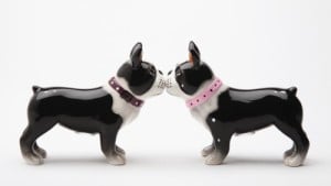 8159 3.5 In. Boston Pups Salt And Pepper Shakers