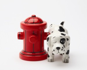 8168 3 In. Wheres The Fire Salt And Pepper Shakers