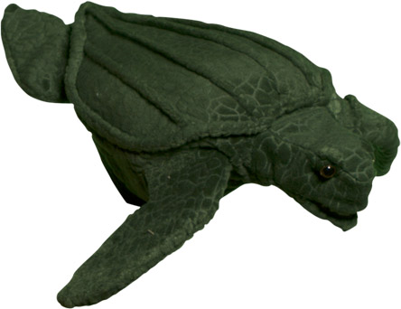 Np8151 14 In. Turtle - Leatherback, Animal Puppet