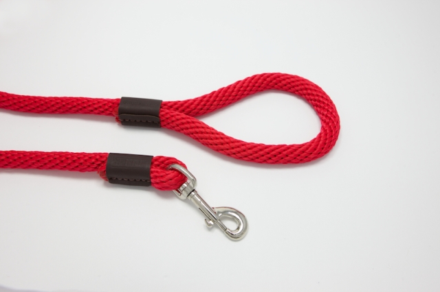 Lz584rd 4 Ft. X 0.62 In. Leedz Super Thick Red Leash