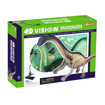 26094 4d Vision Brachiosaurus Anatomy Model
