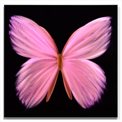 Ma10075 24 X 24 In. Nova Butterfly Pink Single-paneled Handmade Metal Wall Art