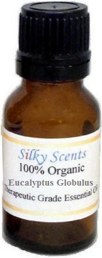 Silky Scents EO146-5ML 100 Percent Pure Therapeutic Grade Eucalyptus Globulus Essential Oil - 5 ml. Silky Scents EO146-5ML 100 Percent Pure Therapeutic Grade Eucalyptus Globulus Essential Oil - 5 ml.