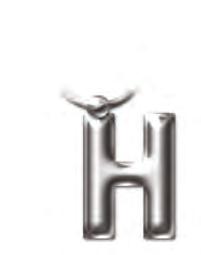 Solid Metal Initial Keyring - H