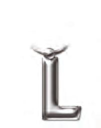 Solid Metal Initial Keyring - L