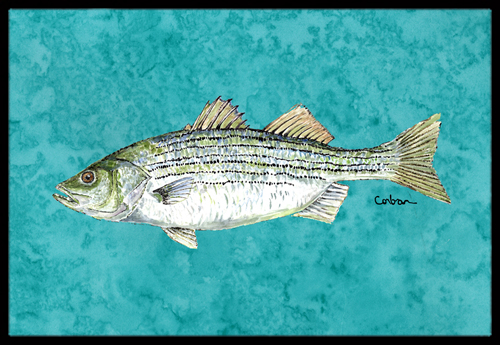 8720jmat Fish Striped Bass Indoor Or Outdoor Doormat, 24 X 36 In.