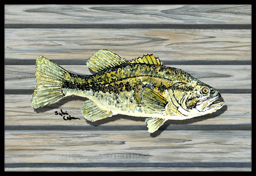 8493-mat Fish Bass Small Mouth Indoor Or Outdoor Mat - 18 X 27 In.