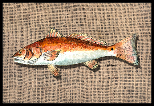 Fish Red Fish Indoor Or Outdoor Mat - 18 X 27 In.